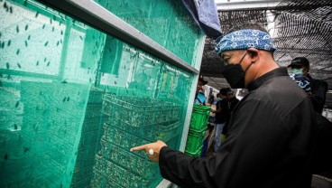 Kota Bandung Sudah Miliki Rumah Maggot, Sukses Kelola 377 Ton Sampah Organik