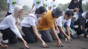 Cara Puteri Indonesia DIY 2024 Sophie Kirana Cegah Perubahan Iklim Lewat Lingkungan