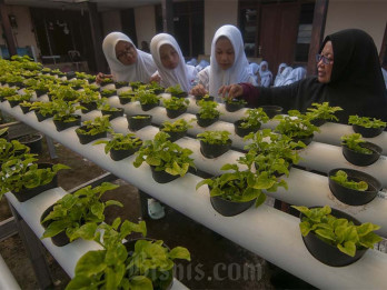 Belajar Mengenal Pertanian Hidroponik di Sekolah