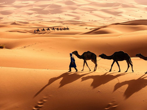 Ilustrasi Gurun Sahara yang membentang di sejumlah negara terbesar di Afrika/Istimewa