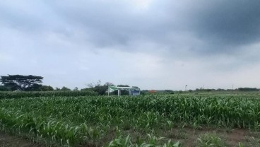 Bayer Gelontorkan Investasi Jumbo di Sektor Pertanian di Klaten