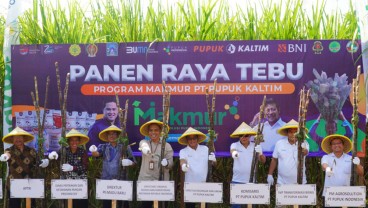 Lampaui Target Program MAKMUR, Pupuk Kaltim Berhasil Realisasikan 72.436 Hektare Lahan dengan 24.497 Petani Pada 2023