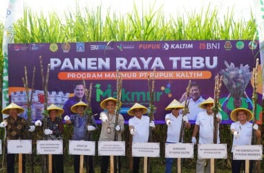 Lampaui Target Program MAKMUR, Pupuk Kaltim Berhasil Realisasikan 72.436 Hektare Lahan dengan 24.497 Petani Pada 2023