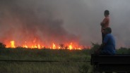 Karhutla Merebak di Riau, Petugas Gabungan Berjibaku Padamkan Api
