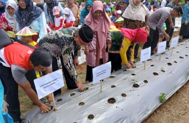 Aktivasi Program K3P, Pertamina Tanam 1000 Tanaman Hortikultura