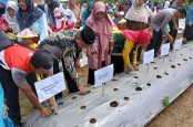 Aktivasi Program K3P, Pertamina Tanam 1000 Tanaman Hortikultura