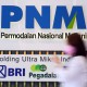 PNM Bakal Rilis Obligasi Rp1,67 Triliun, Kupon hingga 6,55%