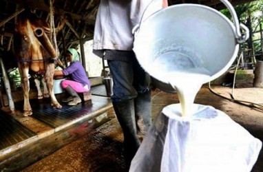 RI Butuh 2,5 Juta Sapi Perah Aktif Untuk Jalankan Program Susu Gratis