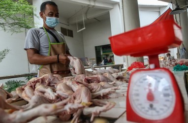 Jelang Ramadan, Harga Daging Ayam di Pekanbaru Masih Tinggi