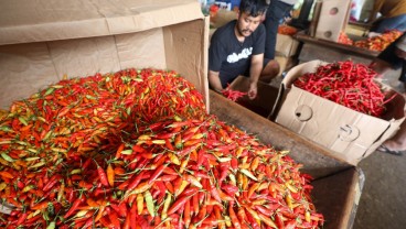 Harga Pangan di Kabupaten Cirebon Turun, Cabai Rawit Kini Rp70.000