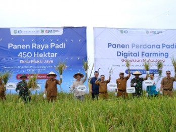 BI Riau Bersama TPID Rokan Hilir Panen Raya Padi 3.000 Ton