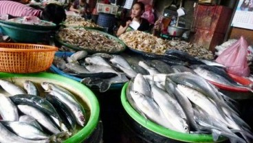 Permintaan Ikan Selama Ramadan - Lebaran Diprediksi Capai 2,46 Juta Ton