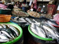 Permintaan Ikan Selama Ramadan - Lebaran Diprediksi Capai 2,46 Juta Ton