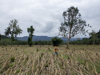 Sumatra Barat Tetapkan Tanggap Darurat Bencana, Ini Data Kerusakan dan Korban Jiwa