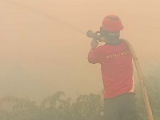 Waspada Karhutla, 2 Kabupaten Kota di Riau Tetapkan Status Siaga Darurat