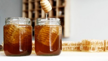 7 Perbedaan Madu Asli dan Palsu dari Cirinya, Kaya Manfaat di Bulan Ramadhan