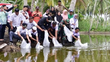 Sulsel Tebar 400.000 Benih Ikan Air Tawar Lagi di Bone, Dicanangkan Jadi Pusat Pembibitan