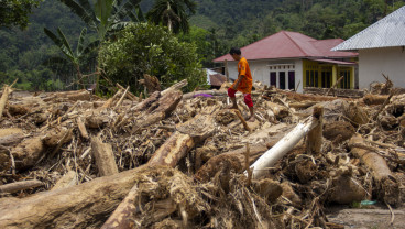 BPBD Sumbar: Penyebab Banjir Bandang di Pesisir Selatan Diduga Adanya Illegal Logging