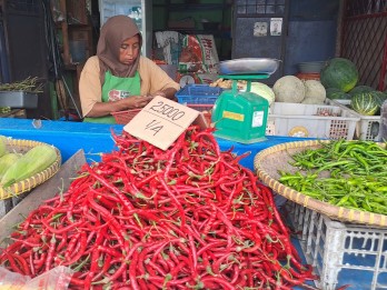 Sempat Meroket, Harga Cabai di Pekanbaru Turun ke Rp90.000 per Kg