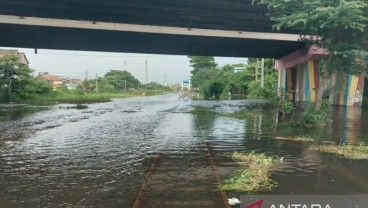 Banjir di Pantura Jateng Belum Ganggu Ketersediaan Pangan