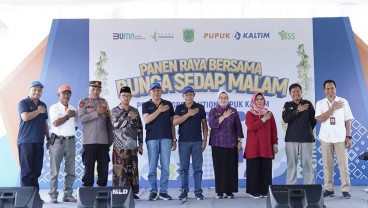 Pupuk Kaltim Gelar Panen Raya Sedap Malam di Rembang, Pasuruan