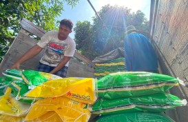 Kelangkaan hingga Penjatahan Pembelian Beras Masih Terjadi di Kabupaten Cirebon
