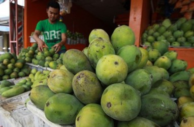 Jepang Minta Pasokan Mangga Gedong Gincu dari Jabar, Tapi Syaratnya Berat