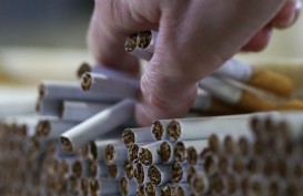 Pangsa Pasar Ekspor Tembakau Kelas Premium Diperluas