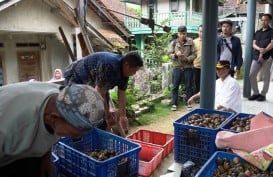 Pemkab Sumedang Gelontorkan Rp10,8 Miliar Bangun Jalan Usaha Tani