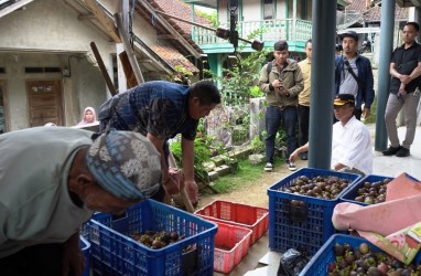 Pemkab Sumedang Gelontorkan Rp10,8 Miliar Bangun Jalan Usaha Tani