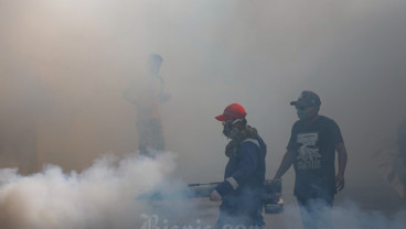 Kasus DBD di Jabar Tembus 11 Ribu, 96 di Antaranya Meninggal Dunia