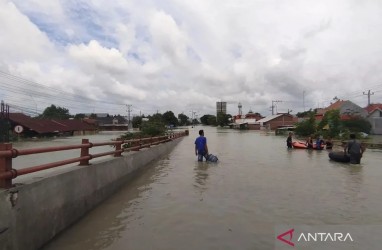 Tak Hanya Hujan Ekstrem, Jokowi Blak-Blakan Soal Penyebab Banjir Demak