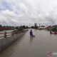 Tak Hanya Hujan Ekstrem, Jokowi Blak-Blakan Soal Penyebab Banjir Demak