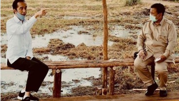 Strategi Kalteng Akselerasi Swasembada Pangan Nasional