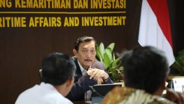 Luhut Syok Utang Minyak Goreng Rp474 Miliar Nunggak 2 Tahun: Gila Ya!