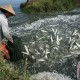 Sinyal La Nina Mulai Datang, Kemenkeu Pede Penerimaan Negara Bukan Pajak Aman