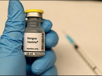 Vaksinasi dan Teknologi Wolbachia, 2 'Senjata' Kemenkes Atasi Kasus DBD