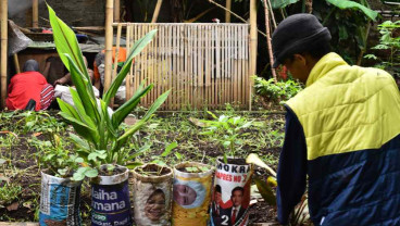 Komunitas Masagi Tjibogo: Mengubah Sampah Politik Menjadi Berkah Lingkungan