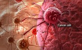 Puasa Bisa Cegah Kanker-Penuaan Dini: Aktifkan Sel Autofagi