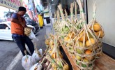 Setelah Penantian 17 Tahun, Sumedang Bakal Ekspor Mangga Gedong Gincu ke Jepang