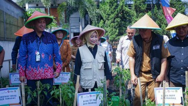 Tekan Inflasi, Pemkot Bandung dan Bank BJB Suntik 16.200 Bibit Cabai Rawit