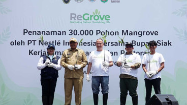Nestle Indonesia Berkolaborasi Dengan BRGM Dalam Pelaksanaan Rehabilitasi Mangrove di Kabupaten Siak