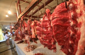 Bulog Belum Dapat Izin Impor Daging, Kementan Beri Jawaban Menohok