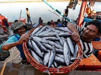 Produksi Perikanan Tangkap RI Terancam La Nina