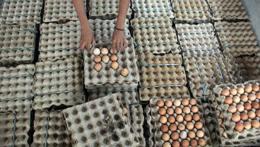 Permintaan Telur Ayam Untuk Kebutuhan Lebarab Meningkat Hingga 100%