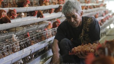 Harga Pangan H+2 Lebaran Jumat (12/4): Daging Ayam Melonjak Naik