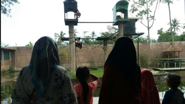 Libur Lebaran, Taman Satwa Cikembulan Garut Diserbu Pengunjung