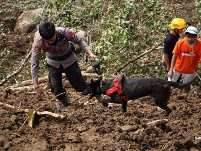 Polisi Terjunkan Anjing Pelacak Untuk Mencari Korban Tanah Longsor di Tana Toraja