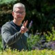 Ini Sosok Bos Apple Tim Cook yang Punya Harta Rp32 Triliun