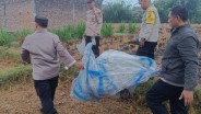 Polisi Menemukan Balon Udara di Jalur Penerbangan Bandara Dhoho